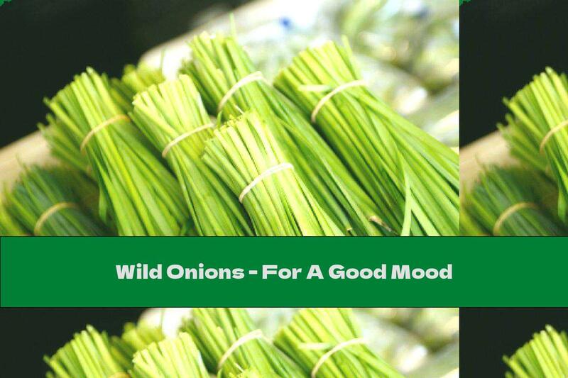 Wild Onions - For A Good Mood