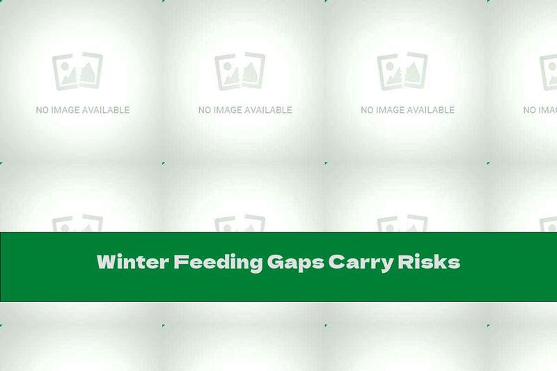 Winter Feeding Gaps Carry Risks