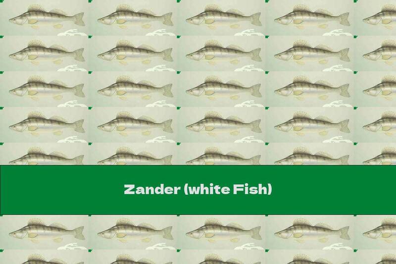 Zander (white Fish)